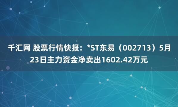 千汇网 股票行情快报：*ST东易（002713）5月23日主力资金净卖出1602.42万元