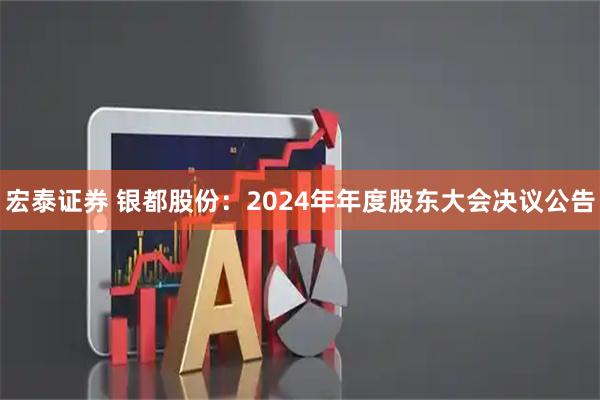 宏泰证券 银都股份：2024年年度股东大会决议公告