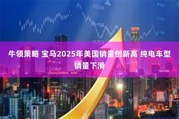 牛领策略 宝马2025年美国销量创新高 纯电车型销量下滑