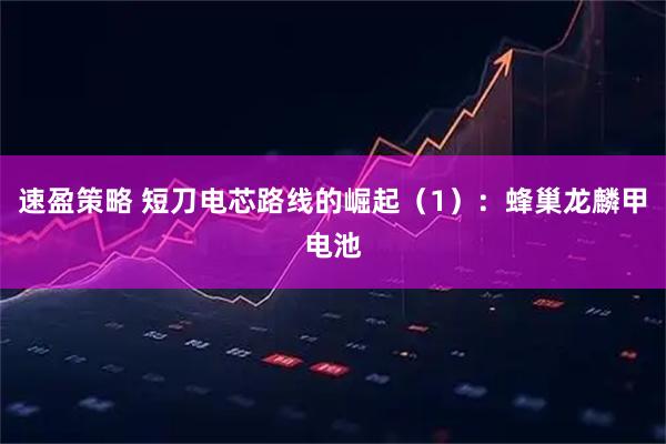 速盈策略 短刀电芯路线的崛起（1）：蜂巢龙麟甲电池